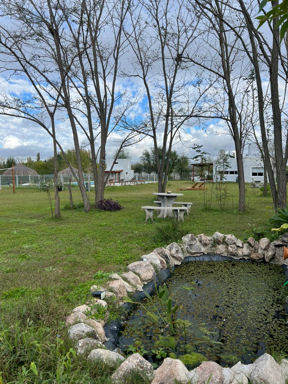 Paisaje 6